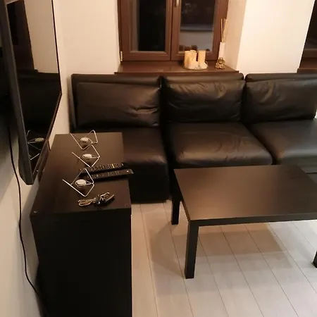 Vikasos Apartamentai Διαμέρισμα Κάουνας